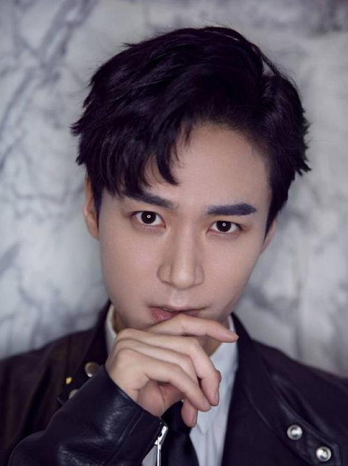 茅子俊八卦,揭秘明星背后的故事与争议